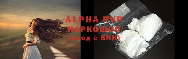 гидра Бородино