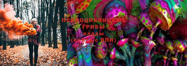 ешки Верея