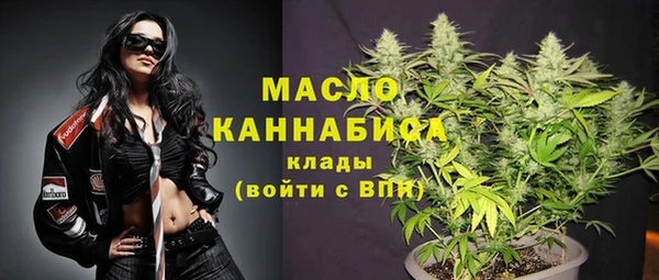 гидра Бородино