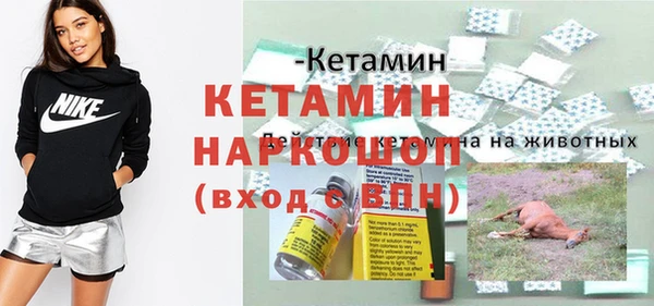 гидра Бородино