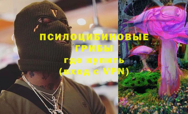 2c-b Верхний Тагил