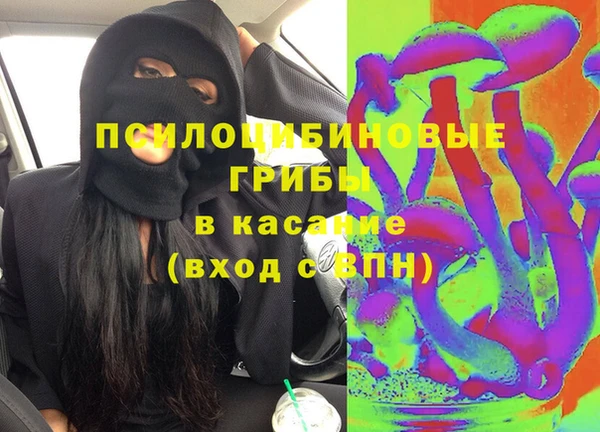 ешки Верея